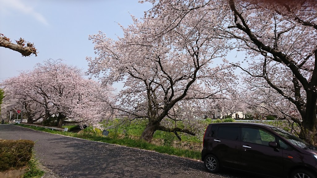 Tenno Daini Park - Foto 1