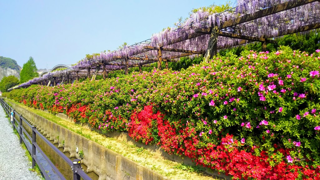 Akasaka Sports Park - Foto 1