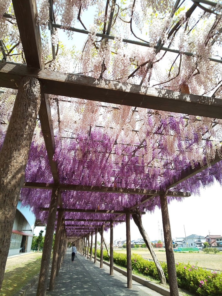 Akasaka Sports Park - Foto 3