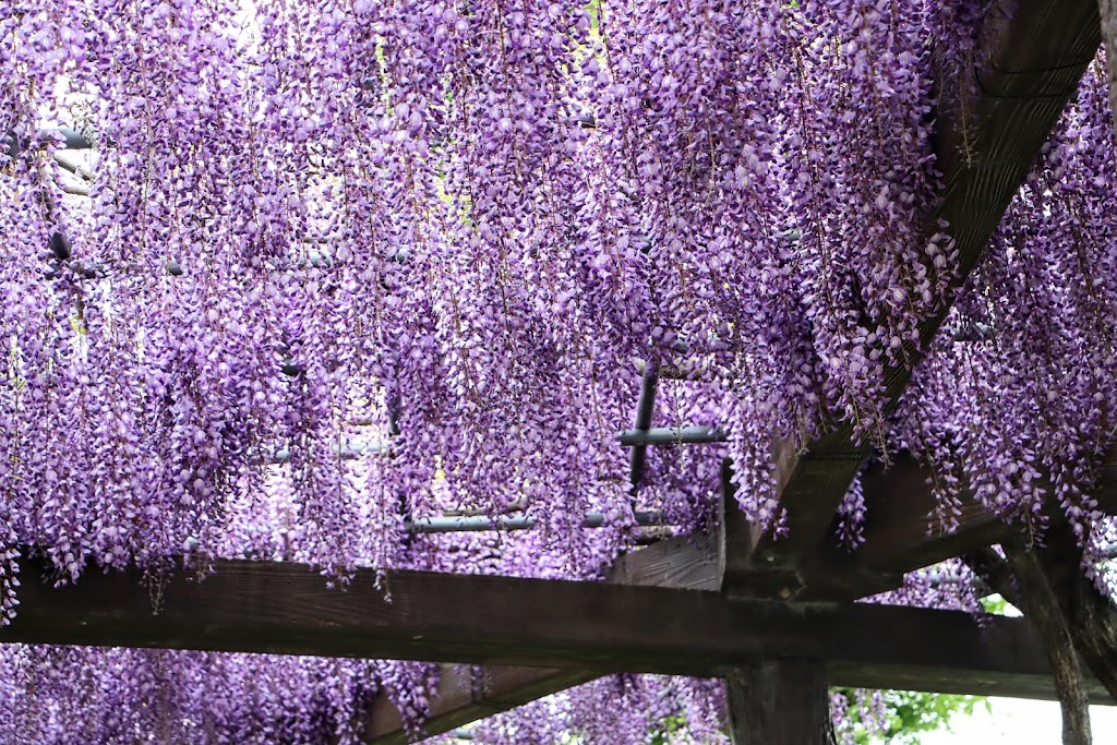 Akasaka Sports Park - Foto 1