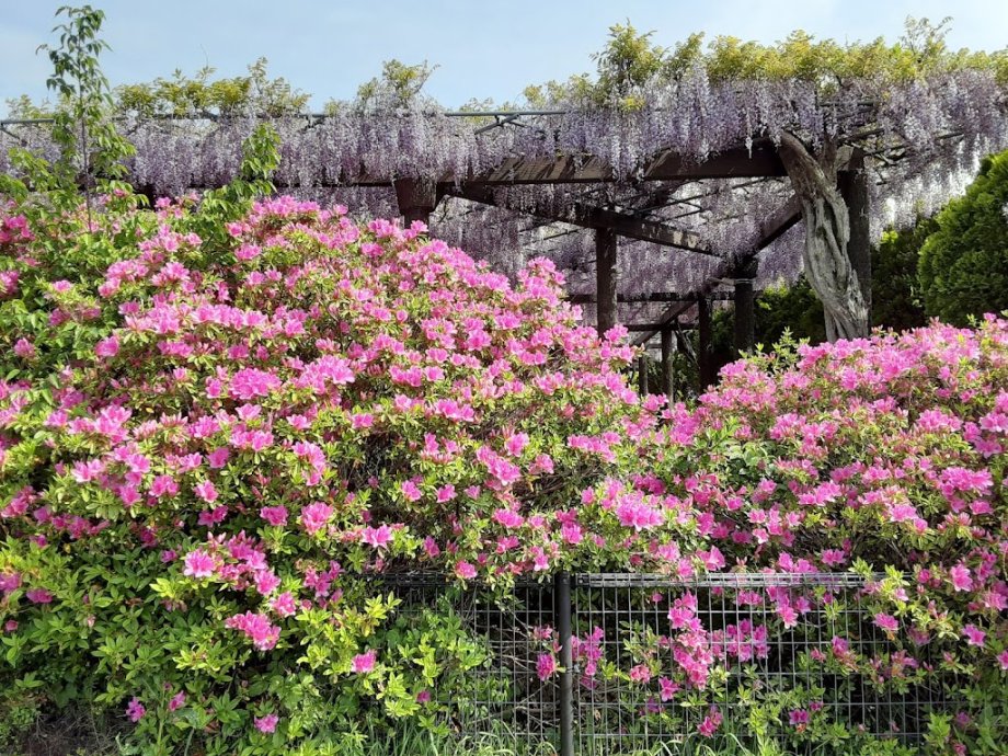 Akasaka Sports Park - Foto 6