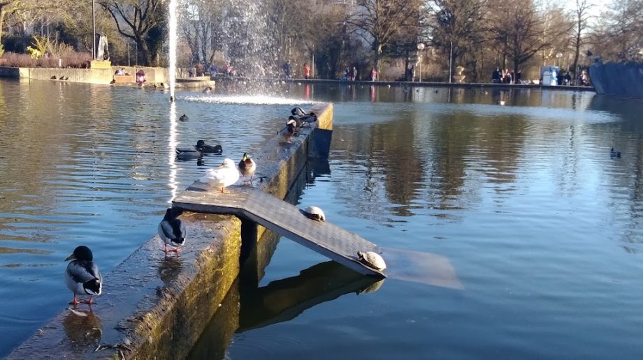 Parc de Merl Playground - Foto 3