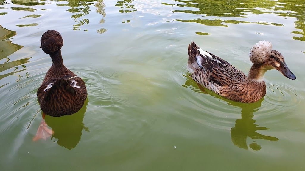 Parc de Merl - Foto 1