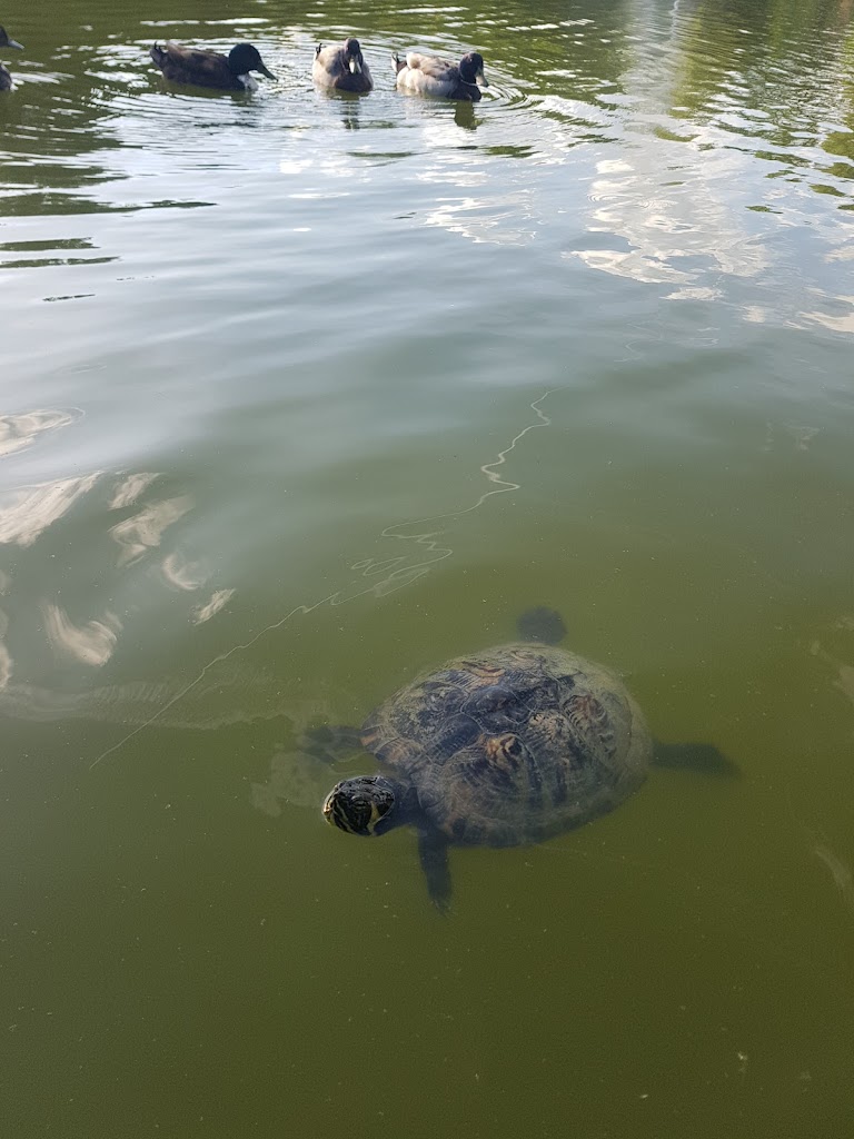 Parc de Merl - Foto 10