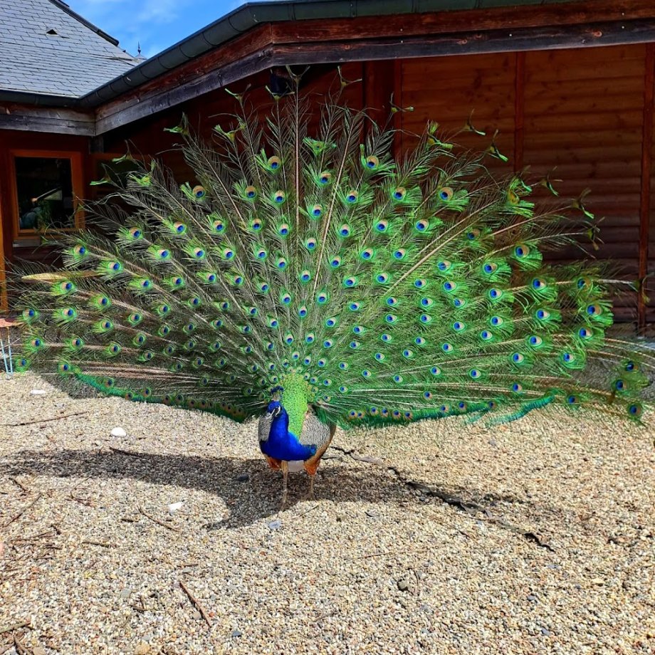 Parque Merveilleux - Foto 4