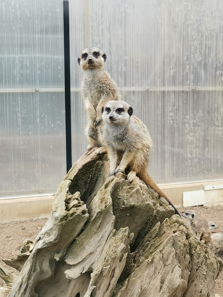 Parque Merveilleux - Foto 1