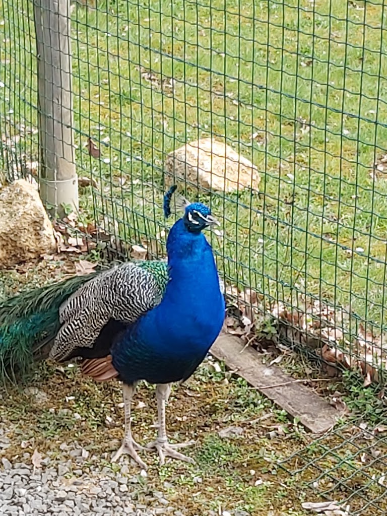 Parque Merveilleux - Foto 1