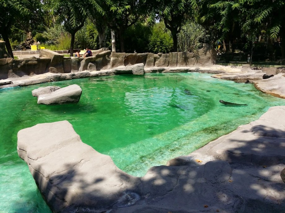 Zoo Barcelona - Foto 3