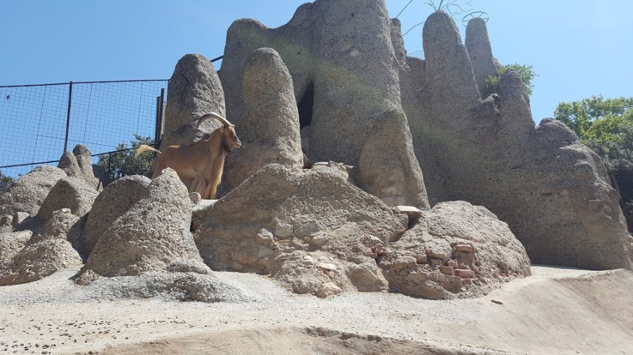 Zoo Barcelona - Foto 4