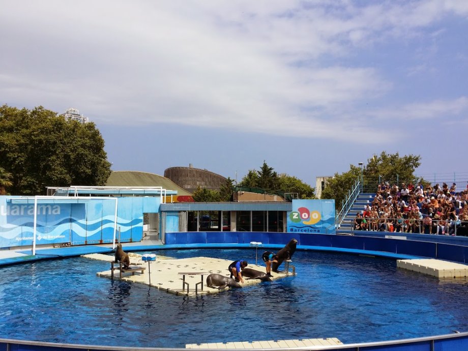 Zoo Barcelona - Foto 7