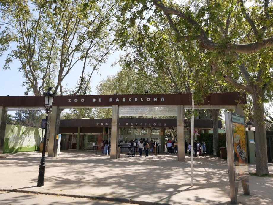 Zoo Barcelona - Foto 11