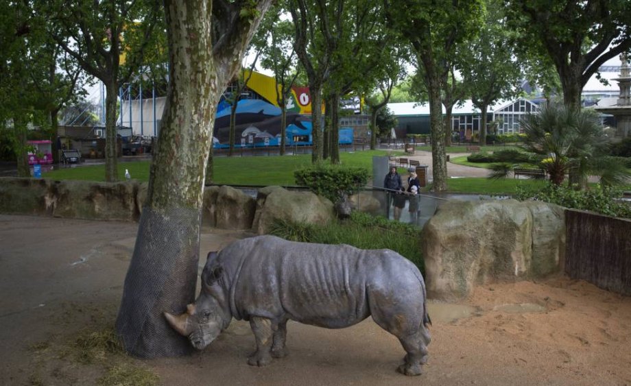 Zoo Barcelona - Foto 17