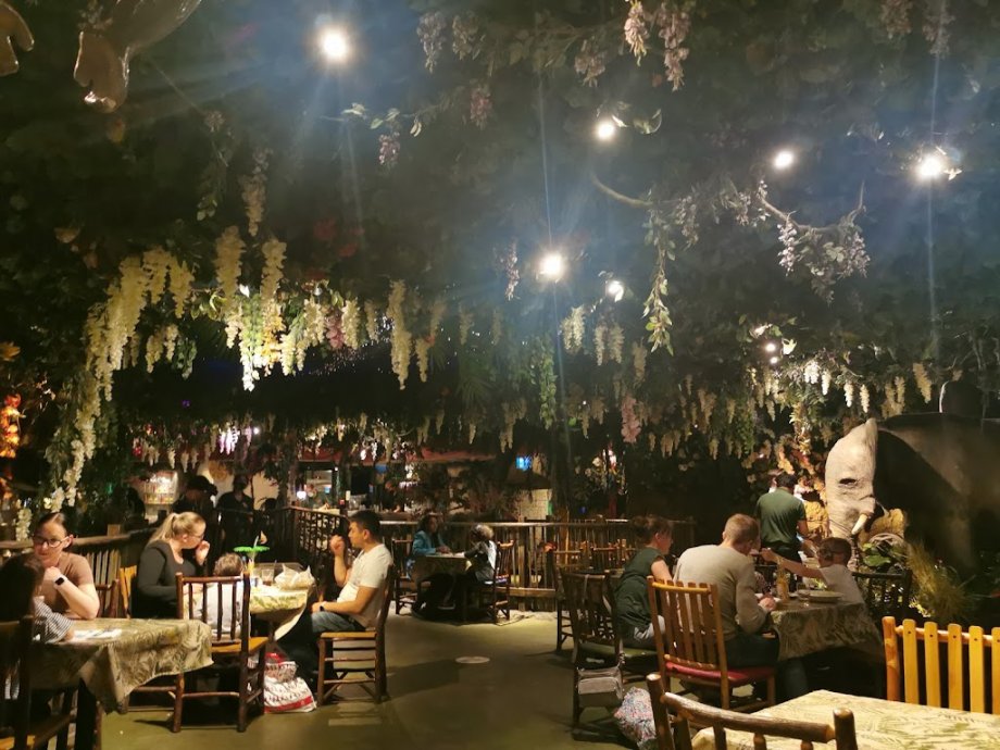 Jungle Cave - Family & Kids Restaurant - Foto 6