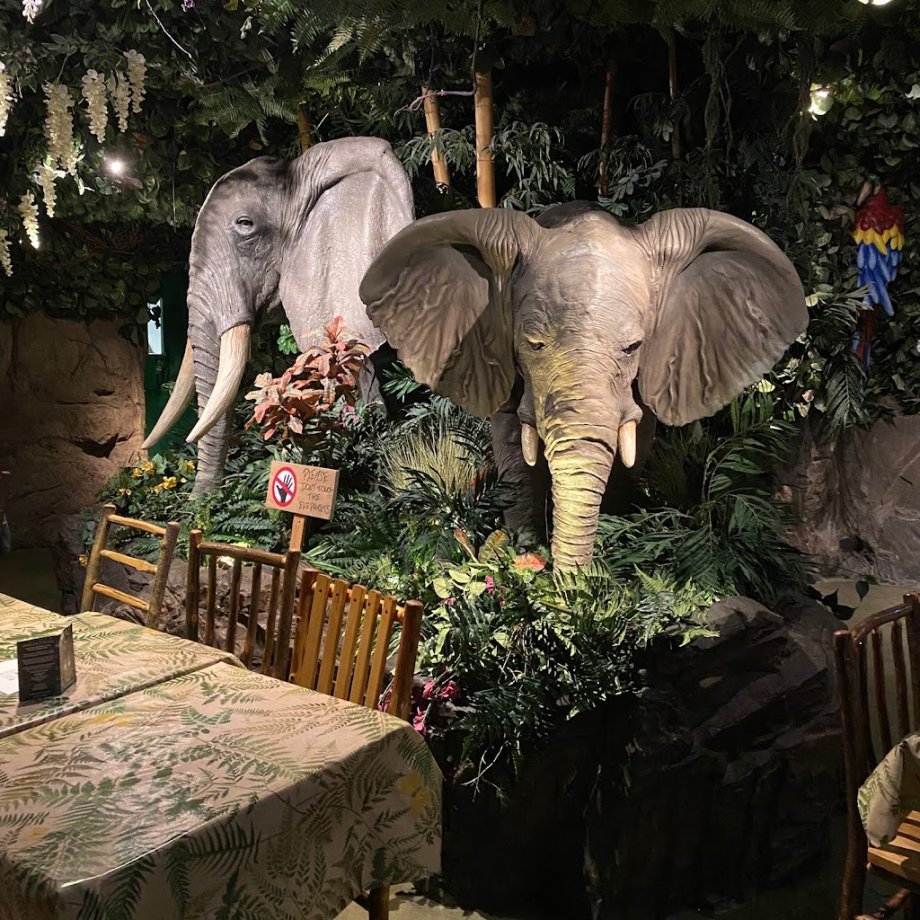 Jungle Cave - Family & Kids Restaurant - Foto 8