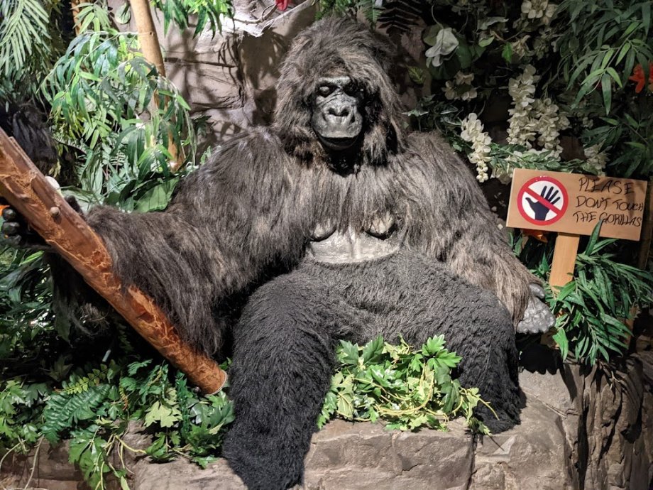 Jungle Cave - Family & Kids Restaurant - Foto 10