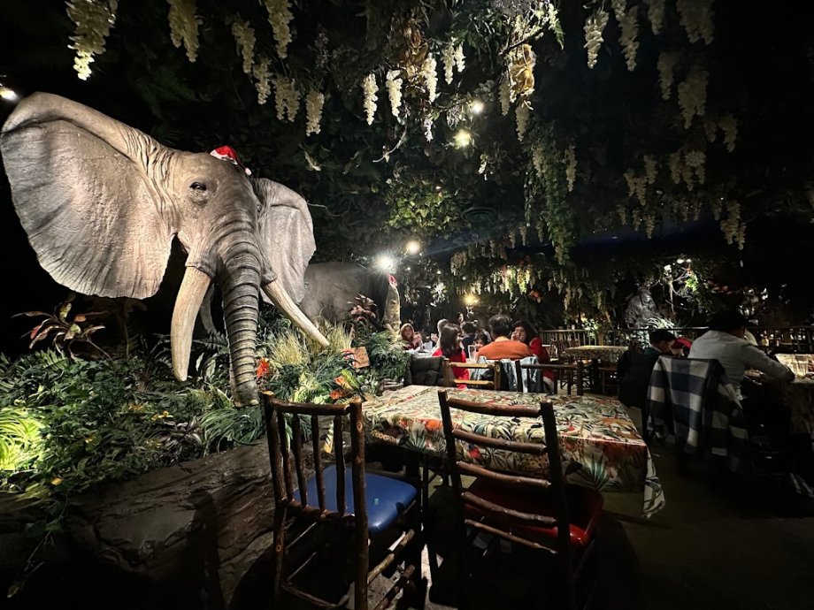 Jungle Cave - Family & Kids Restaurant - Foto 14