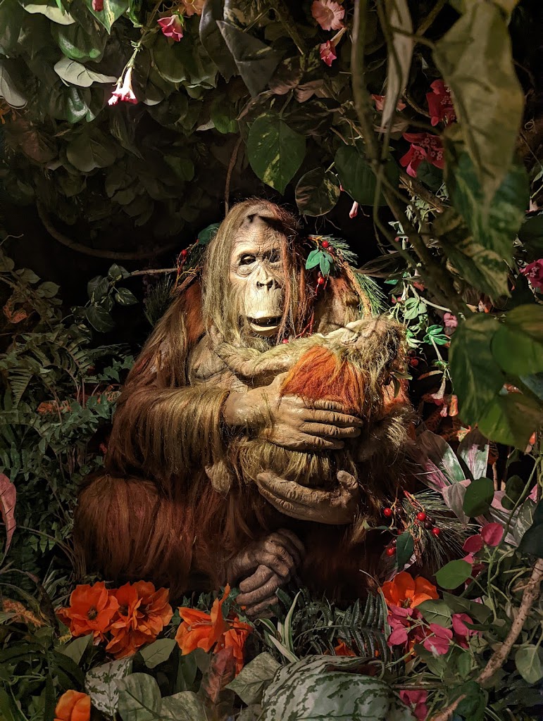 Jungle Cave - Family & Kids Restaurant - Foto 16