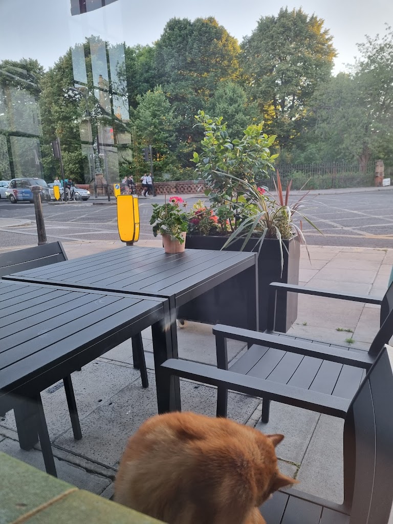 York & Albany - Foto 5