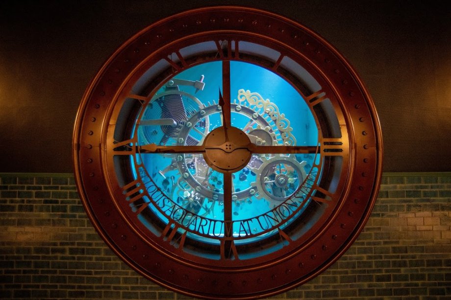 St. Louis Aquarium at Union Station - Foto 5