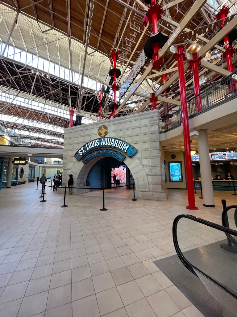 St. Louis Aquarium at Union Station - Foto 10