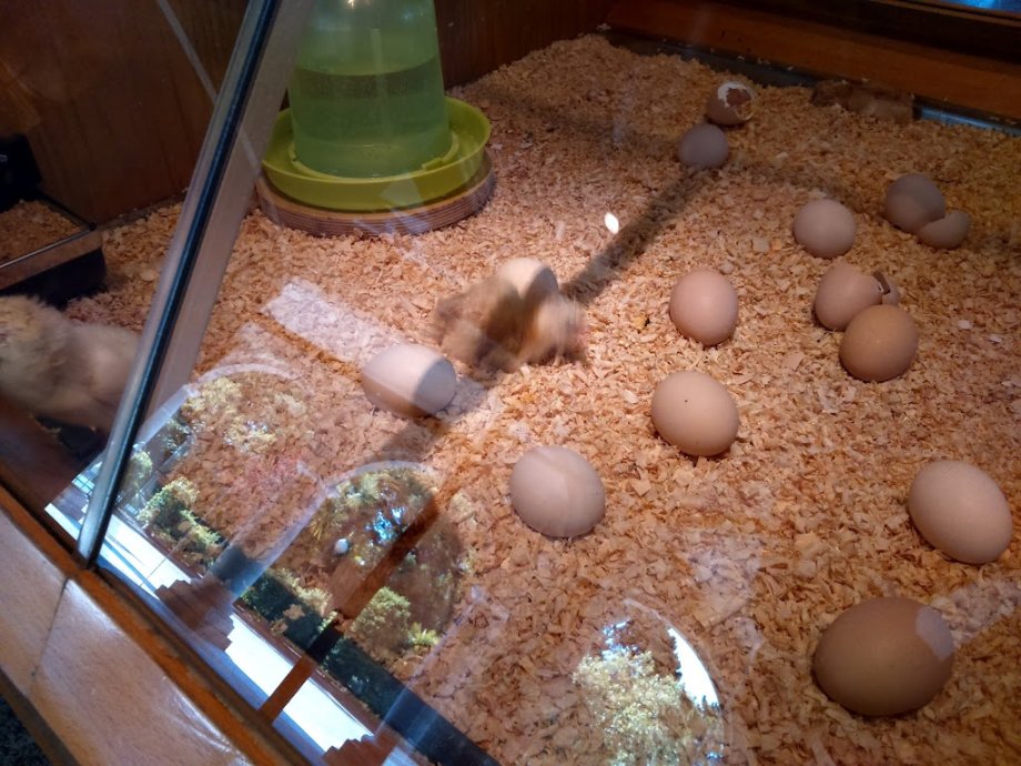 Casa de las Ciencias - Foto 7