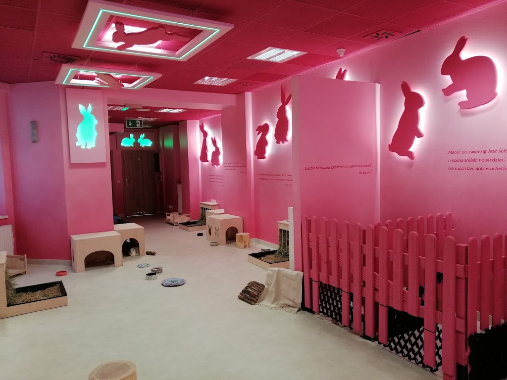 Bunny Cafe - Królicza Kawiarnia - Foto 1