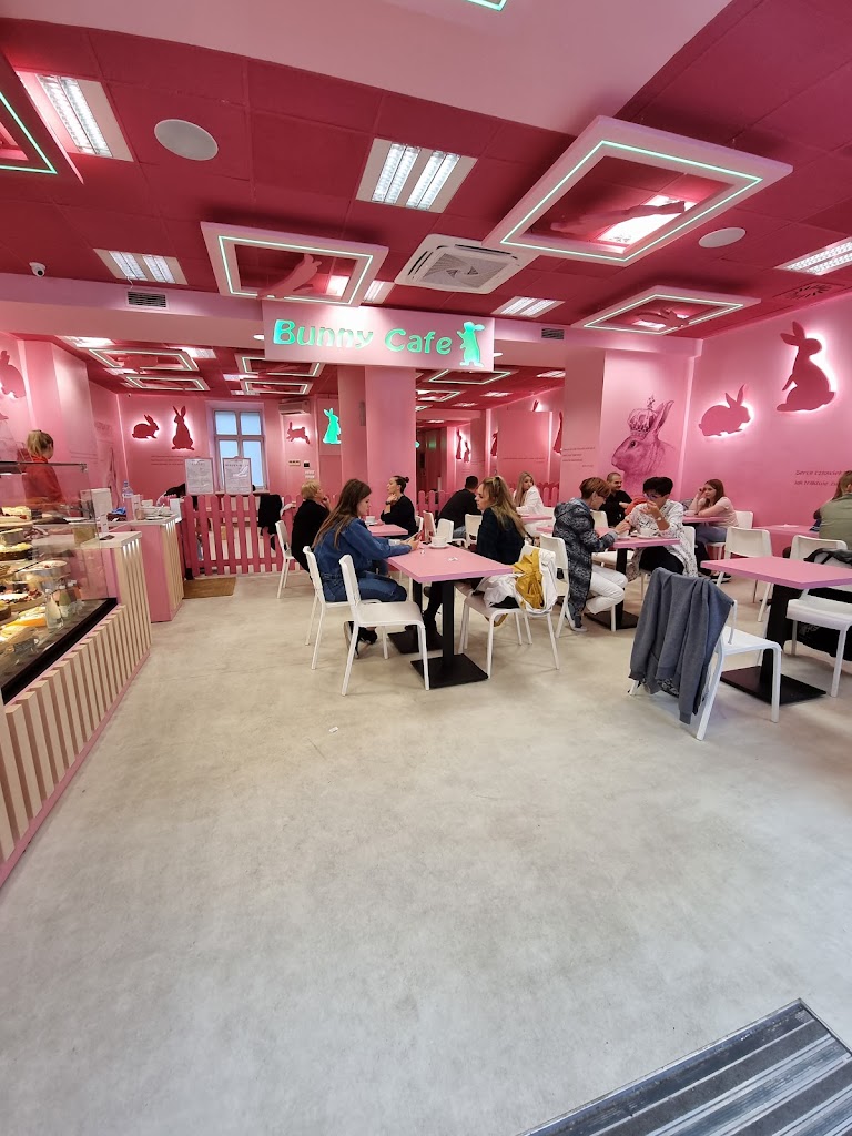 Bunny Cafe - Królicza Kawiarnia 16