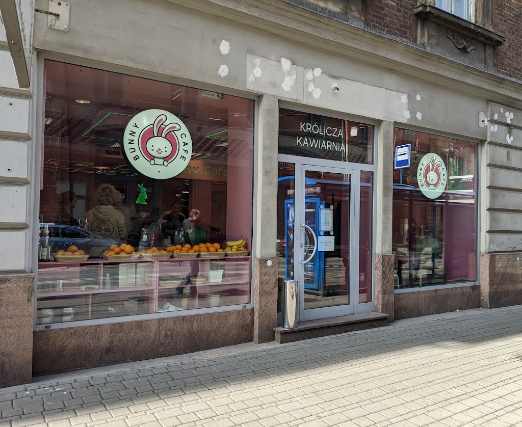 Bunny Cafe - Królicza Kawiarnia