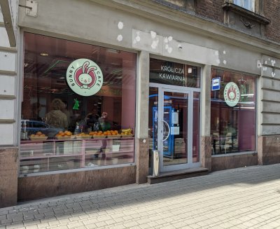 Bunny Cafe - Królicza Kawiarnia