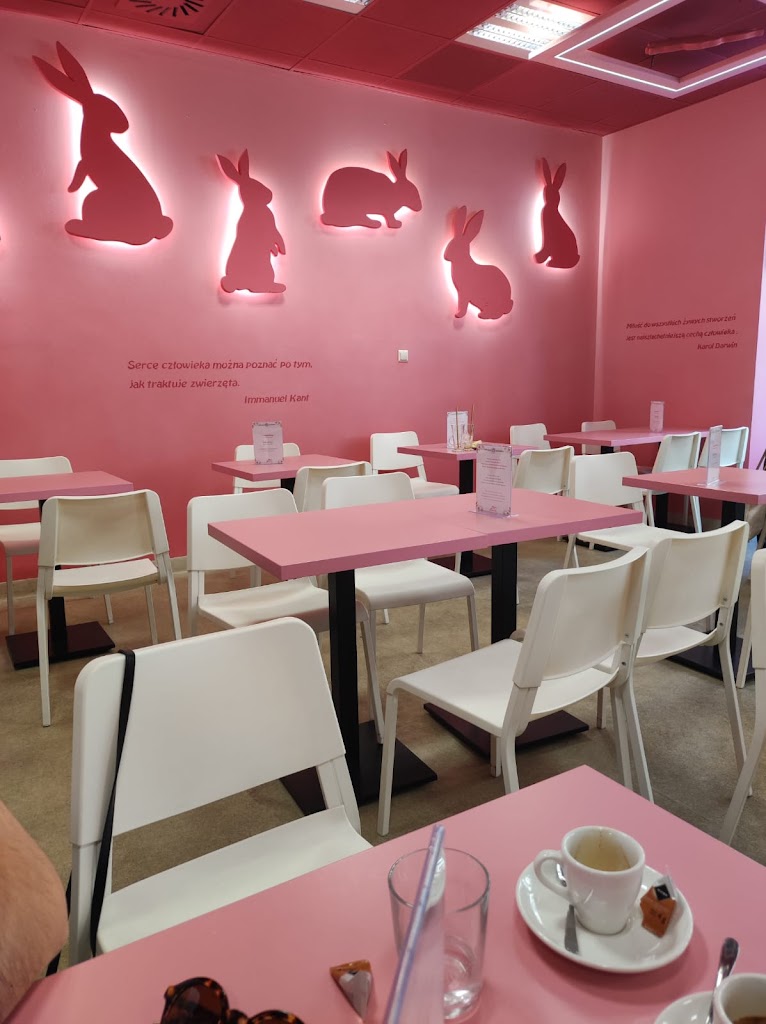 Bunny Cafe - Królicza Kawiarnia - Foto 1