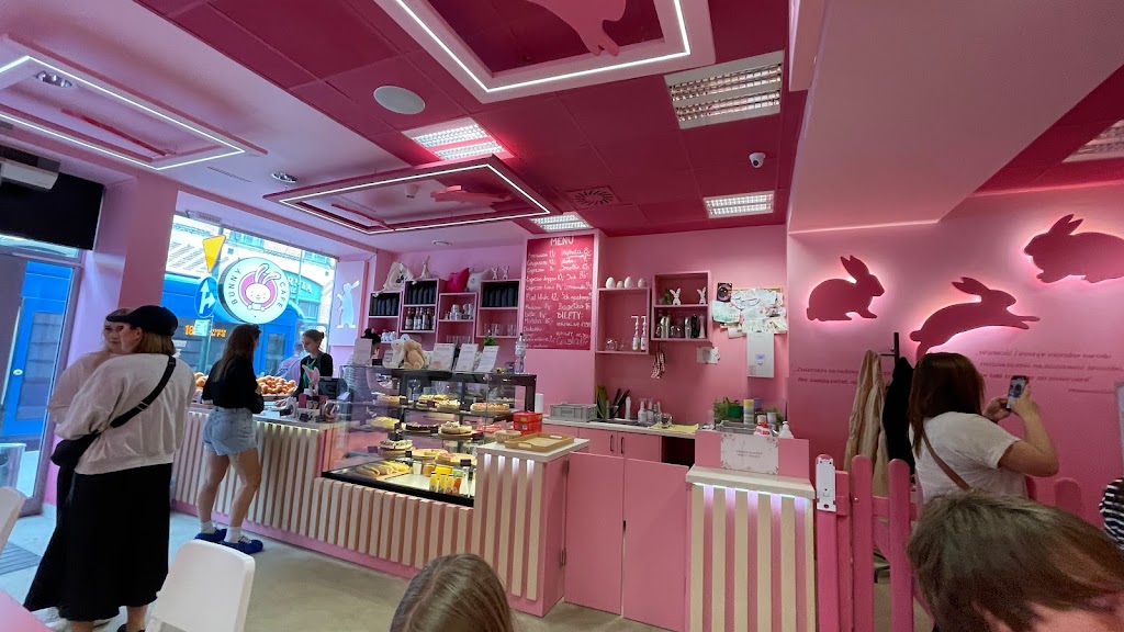 Bunny Cafe - Królicza Kawiarnia 5