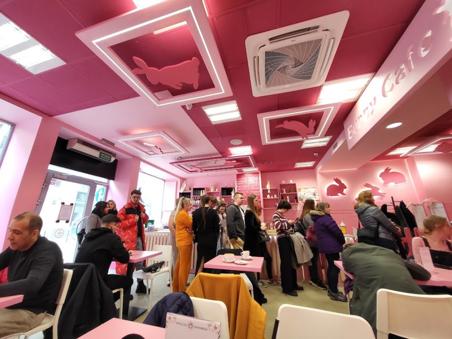 Bunny Cafe - Królicza Kawiarnia - Foto 16