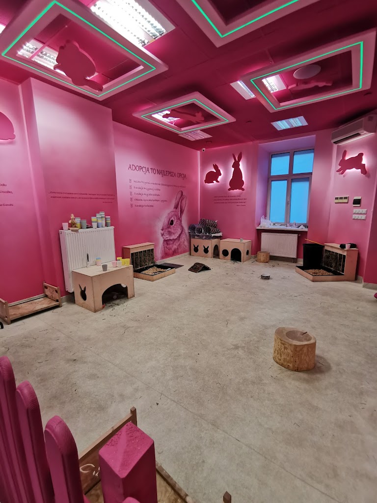 Bunny Cafe - Królicza Kawiarnia - Foto 1