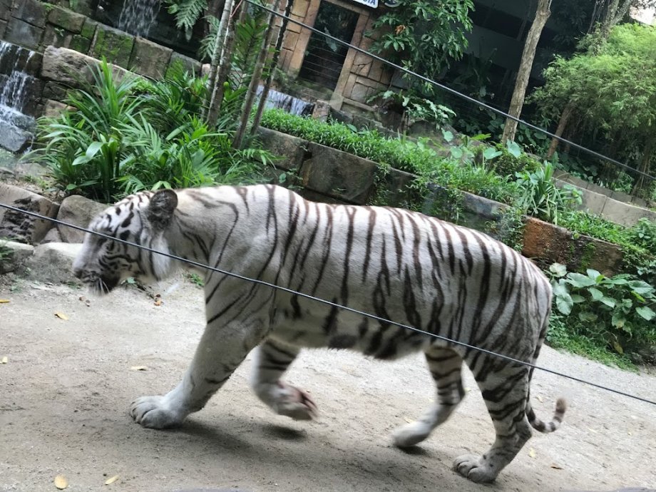 Sunway Lagoon - Foto 5