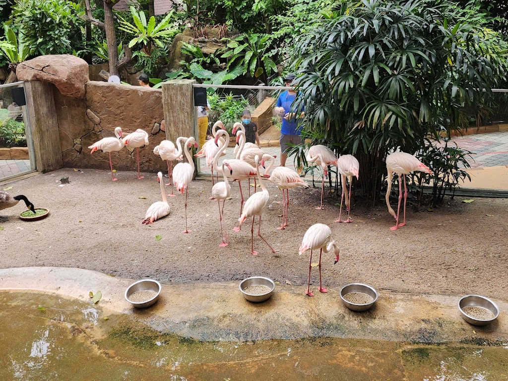 Sunway Lagoon - Foto 1