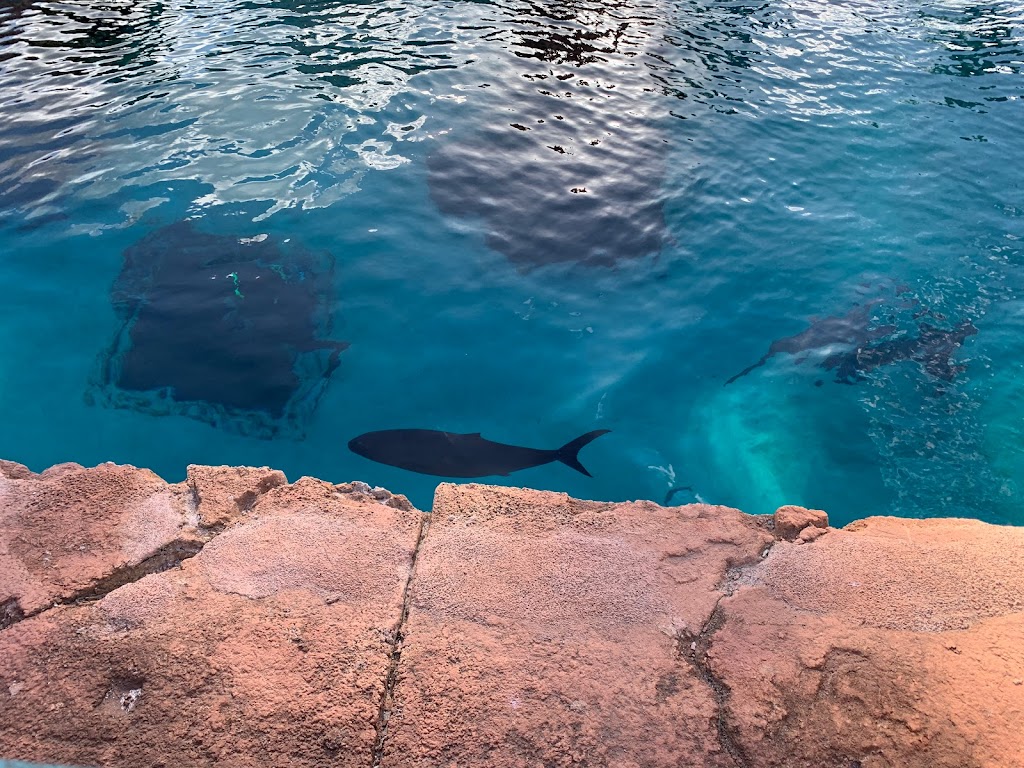 Aquaventure - Foto 1