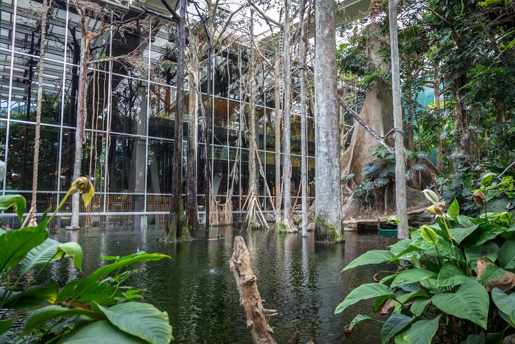 CosmoCaixa Barcelona 15