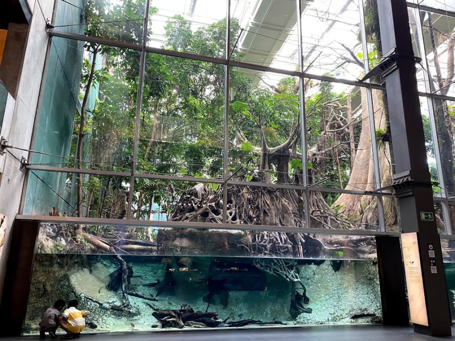 CosmoCaixa Barcelona - Foto 10