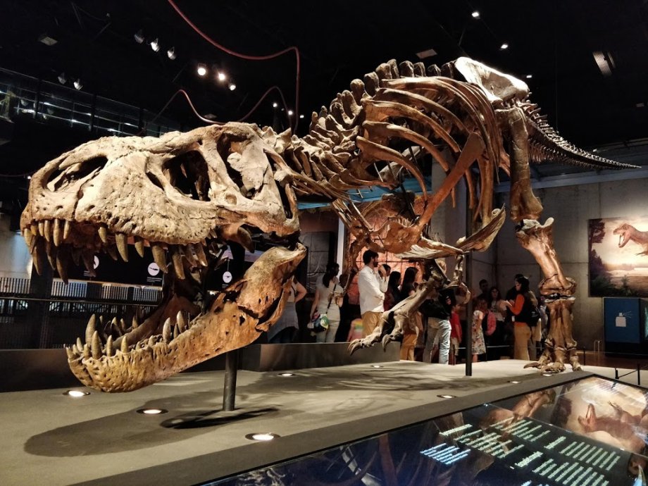 CosmoCaixa Barcelona - Foto 11