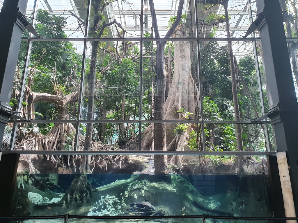 CosmoCaixa Barcelona - Foto 1