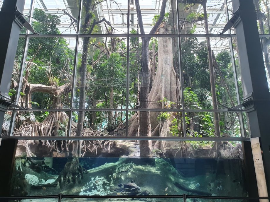 CosmoCaixa Barcelona - Foto 14