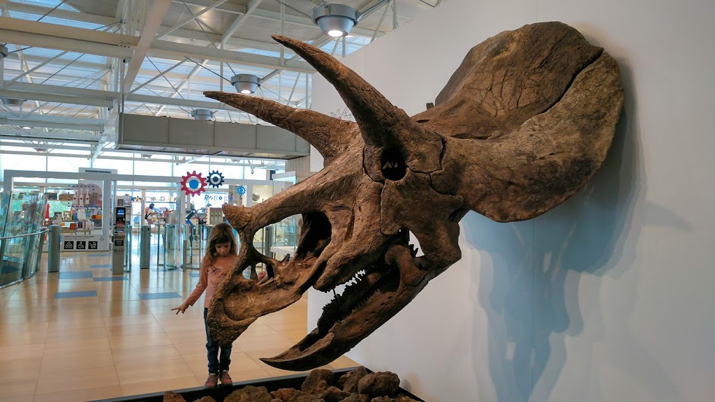 CosmoCaixa Barcelona 9