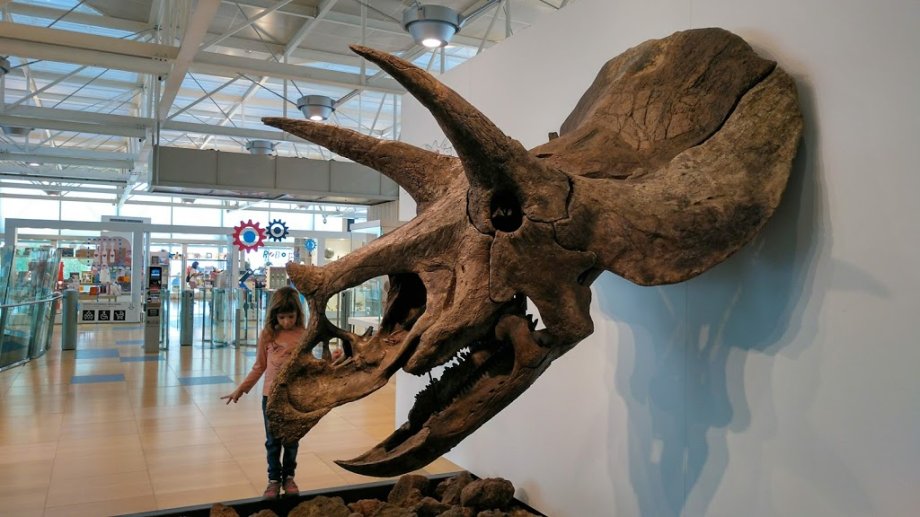 CosmoCaixa Barcelona - Foto 17