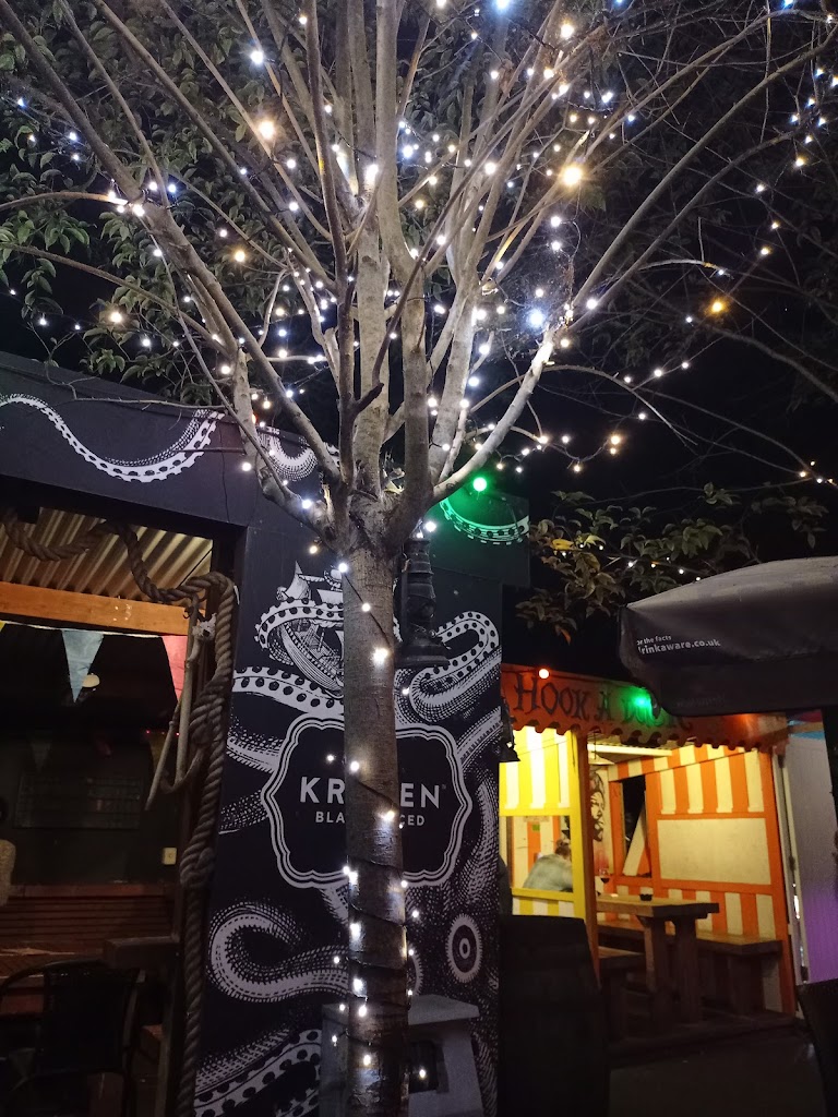 The Aeronaut - Foto 1