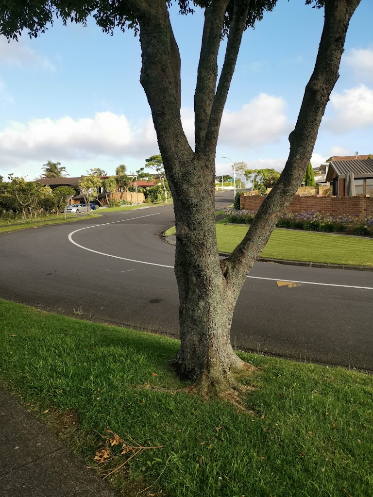 Prince Regent Drive Playground - Foto 3