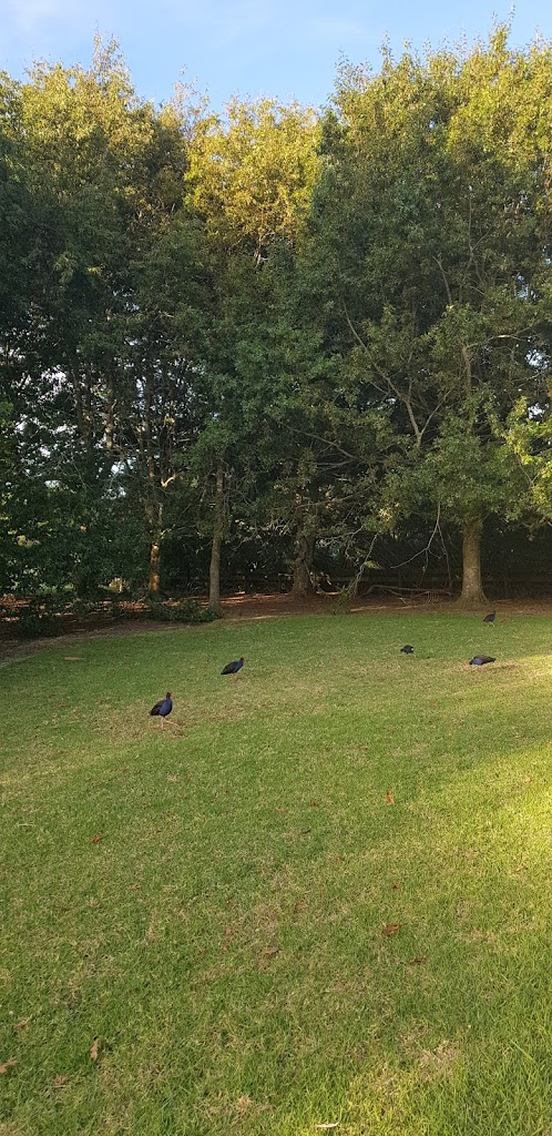 Prince Regent Drive Playground - Foto 8