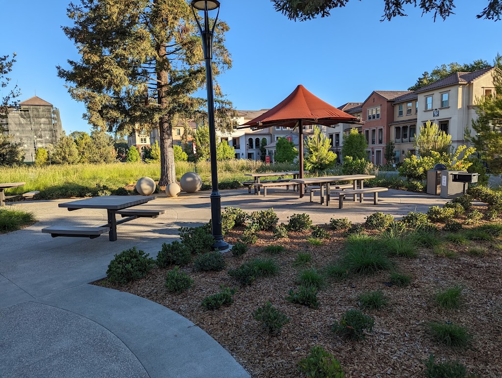 Redwood Place Playground 6