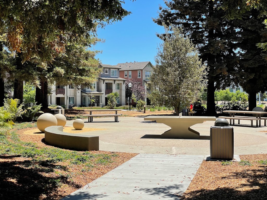 Redwood Place Playground 8