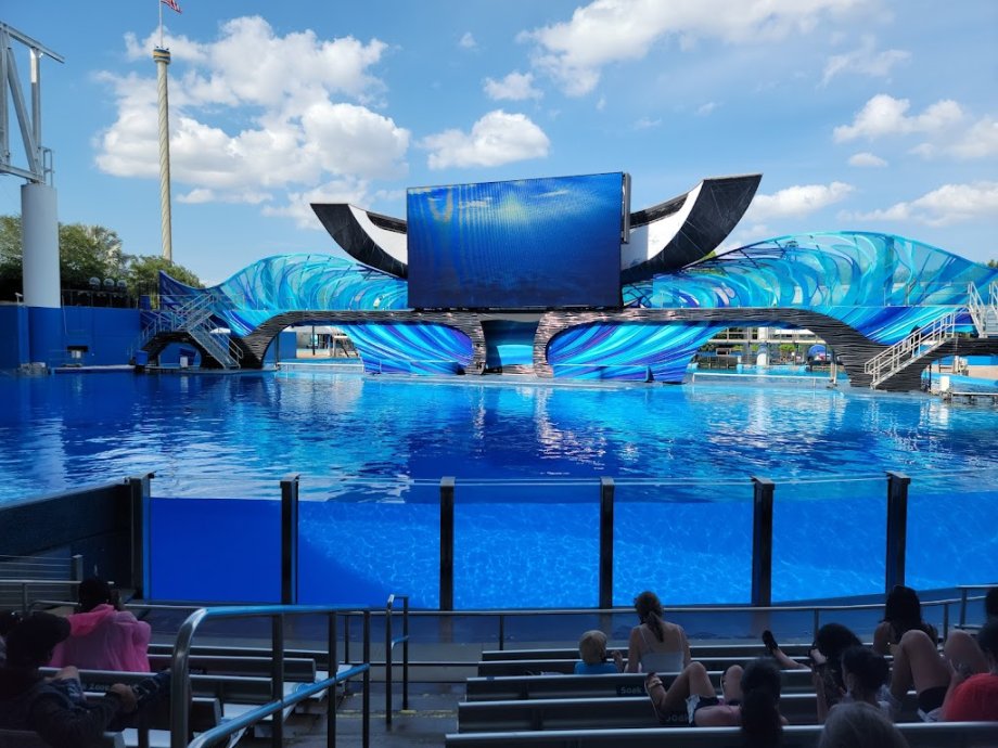 SeaWorld Orlando - Foto 3
