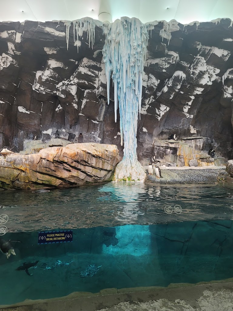 SeaWorld Orlando - Foto 1